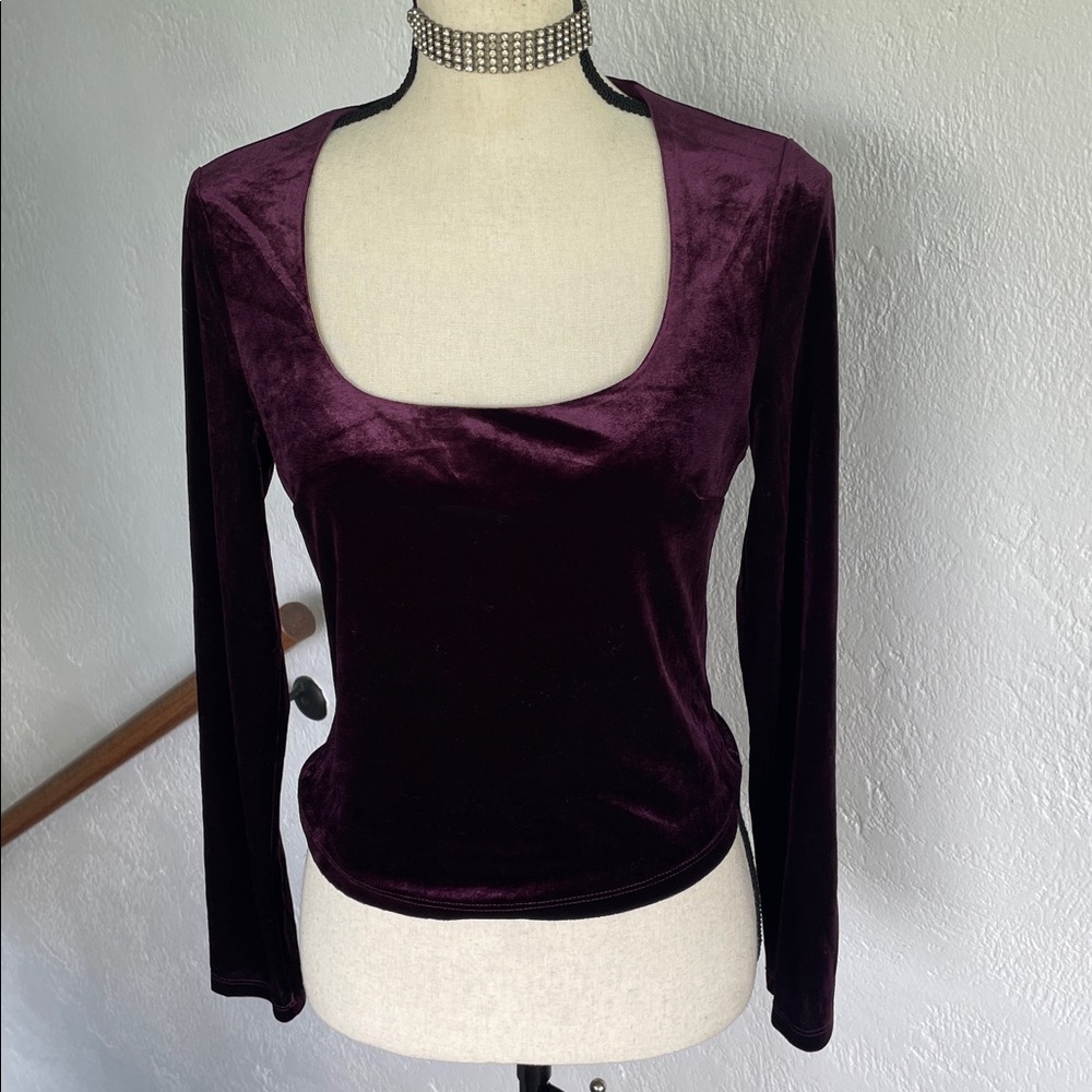 ASTR‎ THE LABEL NWT Velvet Eggplant Lined Long Sleeve Top  M